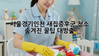 🏡 서울/경기/인천 새집증후군 청소, 숨겨진 꿀팁 대방출! ✨