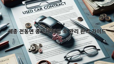 세종 전동면 중고차 매입 후 관리 완벽 가이드