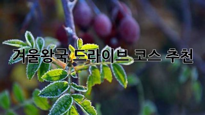 겨울왕국 드라이브 코스 추천